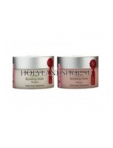 Holy Land Fusion Mask Kit Phase 1 & Phase 2